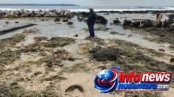 Kasus BPBD Simeulue : Jadi Pelajaran Berharga : Evaluasi menyeluruh terhadap Tata Kelola Proyek !