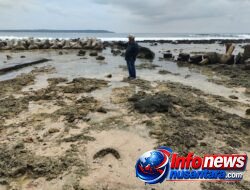 Kasus BPBD Simeulue : Jadi Pelajaran Berharga : Evaluasi menyeluruh terhadap Tata Kelola Proyek !