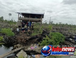Bukan Jalan Baru! Ali Imran Bongkar Jejak Akses Kebun Oboh Sejak 1980-an, Pemerintah Diminta Cek Batas Kawasan