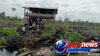 Bukan Jalan Baru! Ali Imran Bongkar Jejak Akses Kebun Oboh Sejak 1980-an, Pemerintah Diminta Cek Batas Kawasan