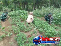 Babinsa Koramil 11 Bandar Baru Bangun Kedekatan dengan Petani di Cut Langgien