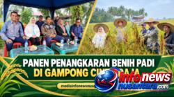 Panen Perdana Penangkaran Benih Padi di Gampong Cinta Raja, Kecamatan Langsa Timur