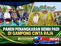 Panen Perdana Penangkaran Benih Padi di Gampong Cinta Raja, Kecamatan Langsa Timur