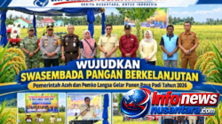 Wujudkan Swasembada Pangan Berkelanjutan, Pemerintah Aceh dan Pemko Langsa Panen Raya Padi Tahun 2026