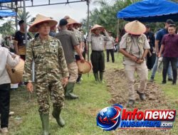 Sukses Rehabilitasi Lahan Pangan, Dandim 0117/Aceh Tamiang Dipuji Pulihkan Sawah Terdampak Bencana