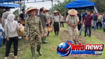 Sukses Rehabilitasi Lahan Pangan, Dandim 0117/Aceh Tamiang Dipuji Pulihkan Sawah Terdampak Bencana