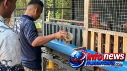 Lapas Kota Bakti Kembangkan Peternakan Unggas, Warga Binaan Dibekali Keterampilan Produktif