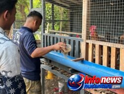Lapas Kota Bakti Kembangkan Peternakan Unggas, Warga Binaan Dibekali Keterampilan Produktif