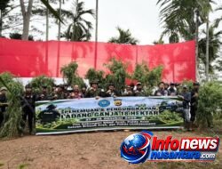 Polda Aceh Berhasil Musnahkan 18 Hektare Ladang Ganja di Aceh Utara